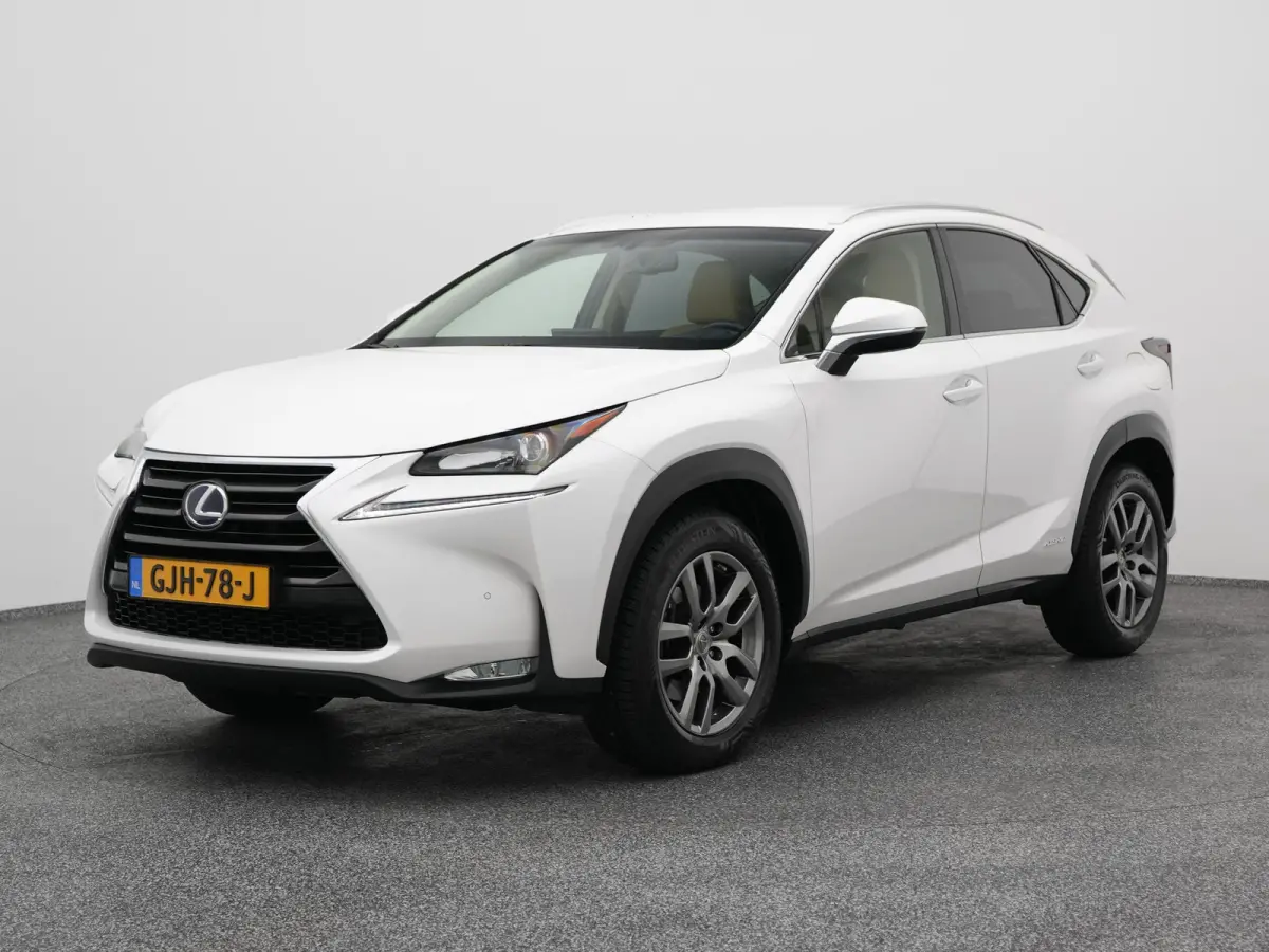 300h AWD Business Line | CAMERA | TREKHAAK