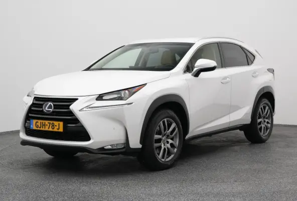 300h AWD Business Line | CAMERA | TREKHAAK