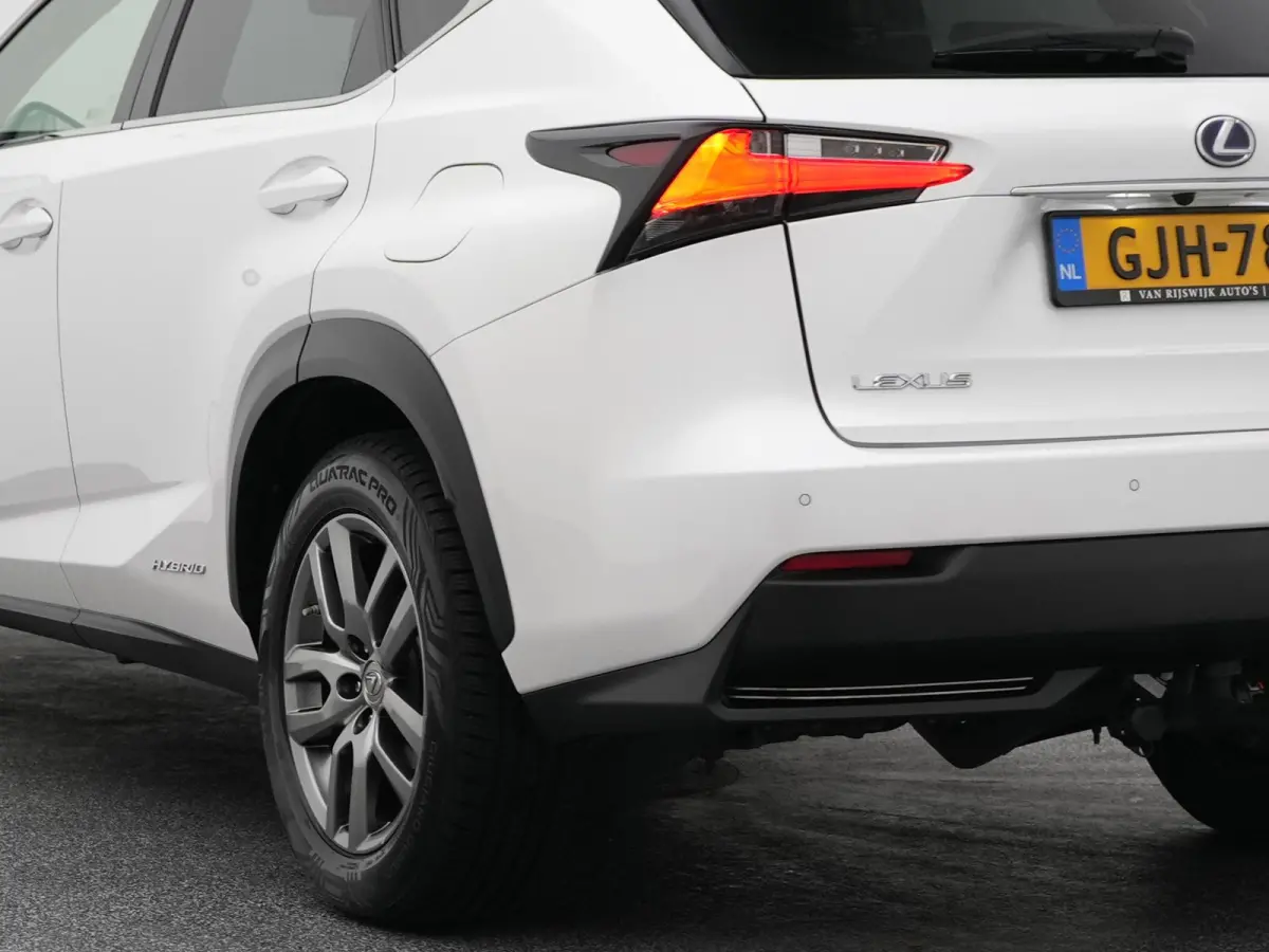 300h AWD Business Line | CAMERA | TREKHAAK