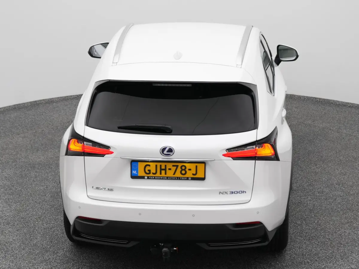 300h AWD Business Line | CAMERA | TREKHAAK