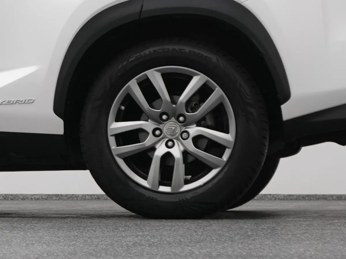300h AWD Business Line | CAMERA | TREKHAAK