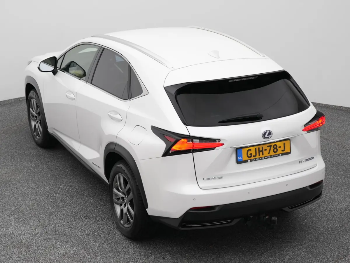 300h AWD Business Line | CAMERA | TREKHAAK