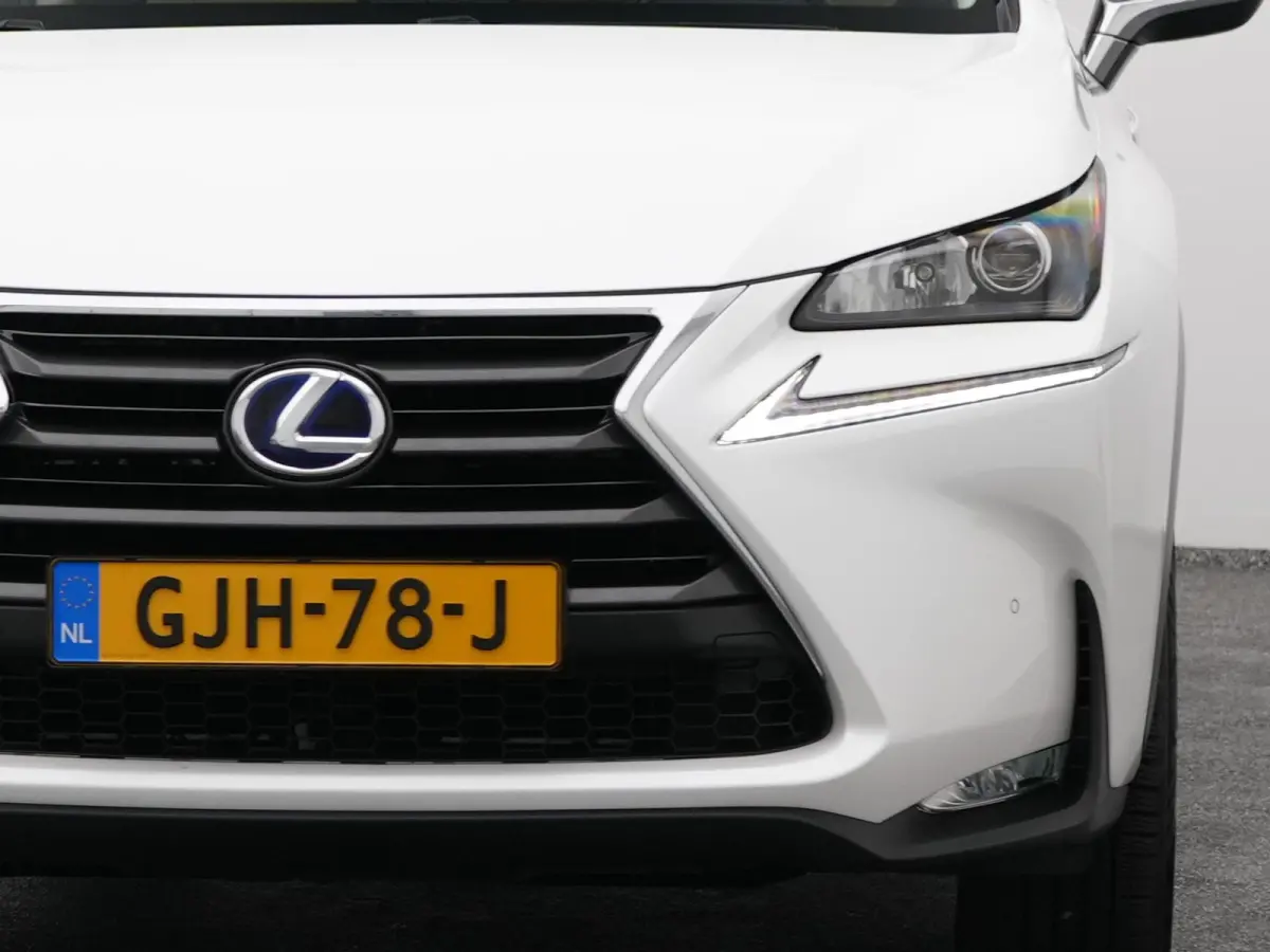 300h AWD Business Line | CAMERA | TREKHAAK