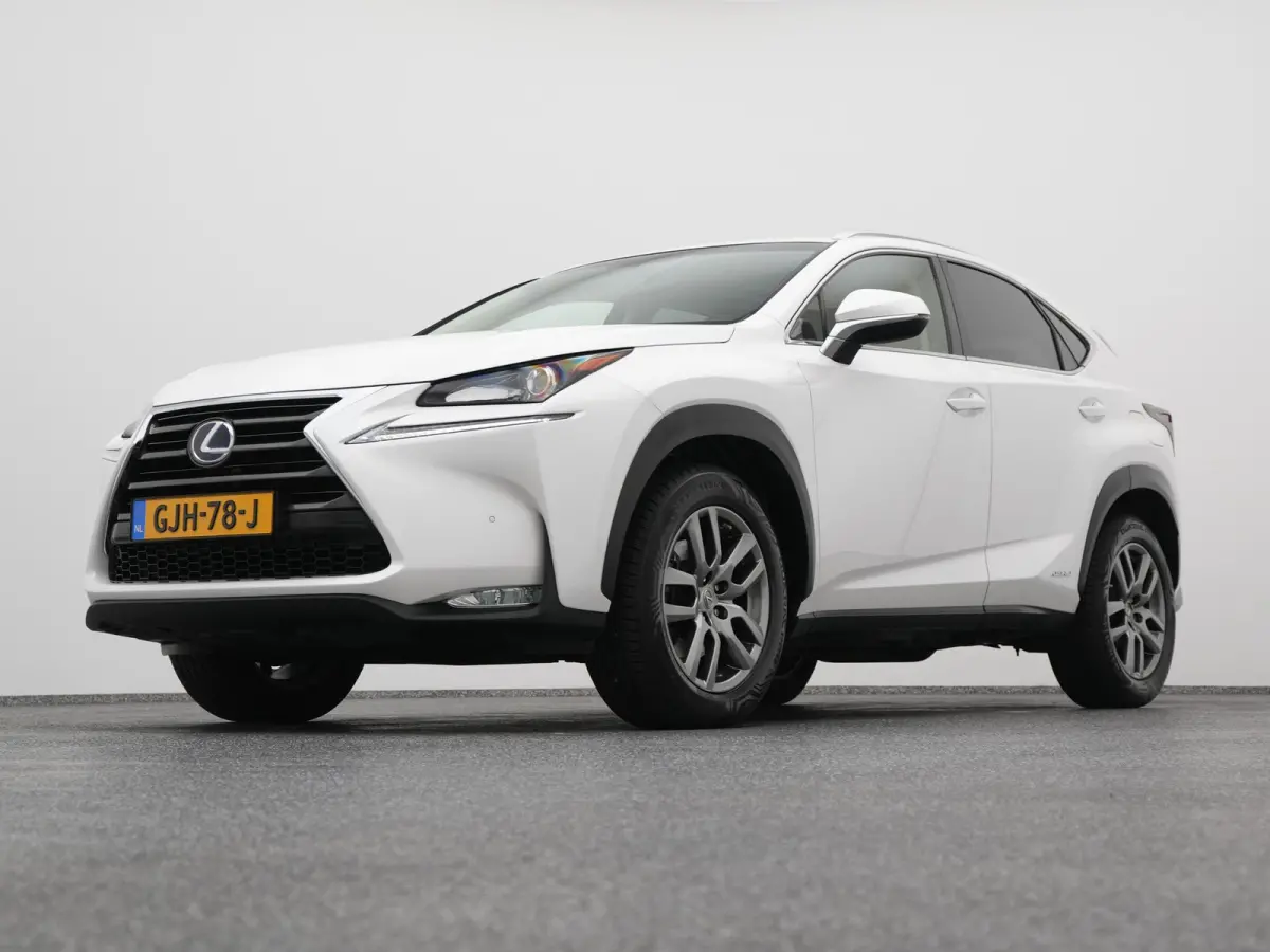 300h AWD Business Line | CAMERA | TREKHAAK