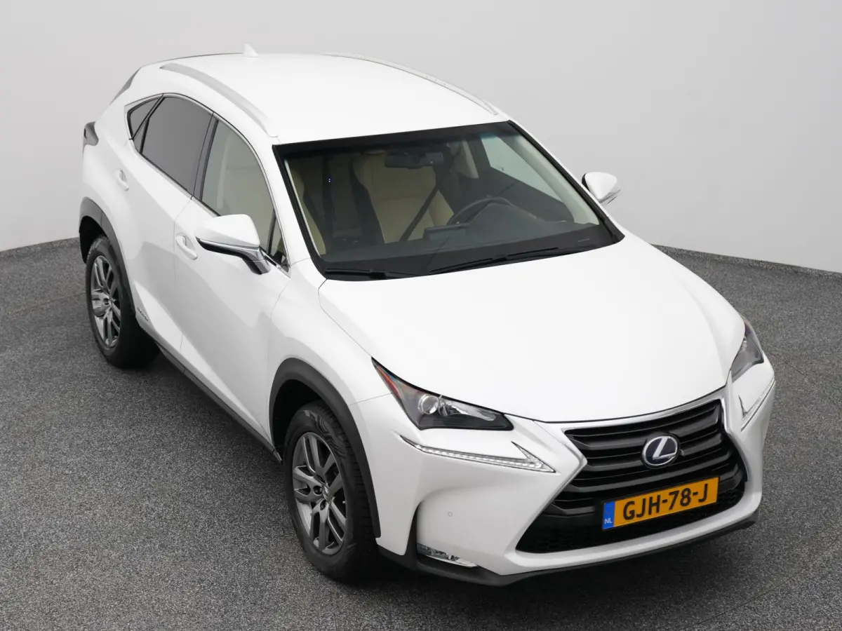 300h AWD Business Line | CAMERA | TREKHAAK