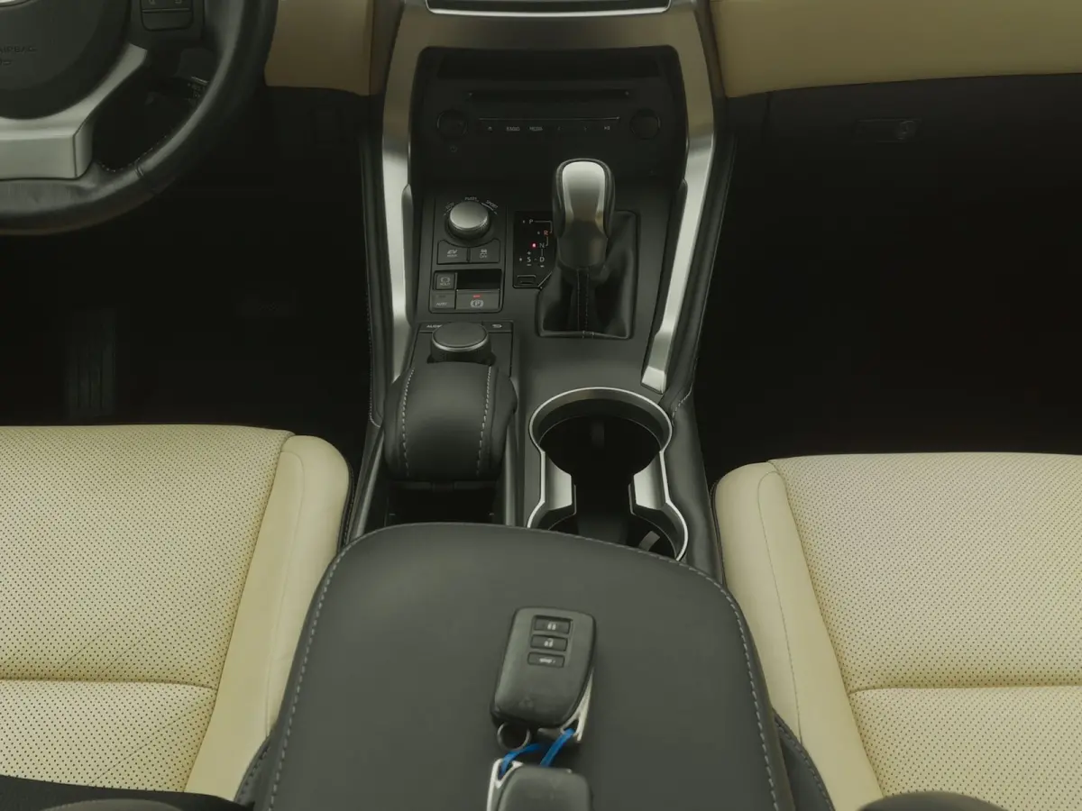 300h AWD Business Line | CAMERA | TREKHAAK