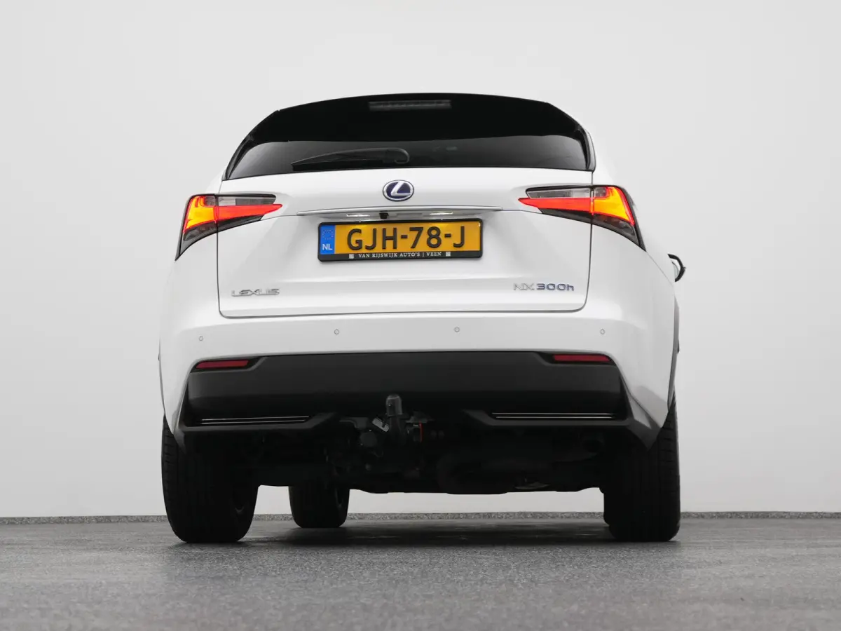 300h AWD Business Line | CAMERA | TREKHAAK