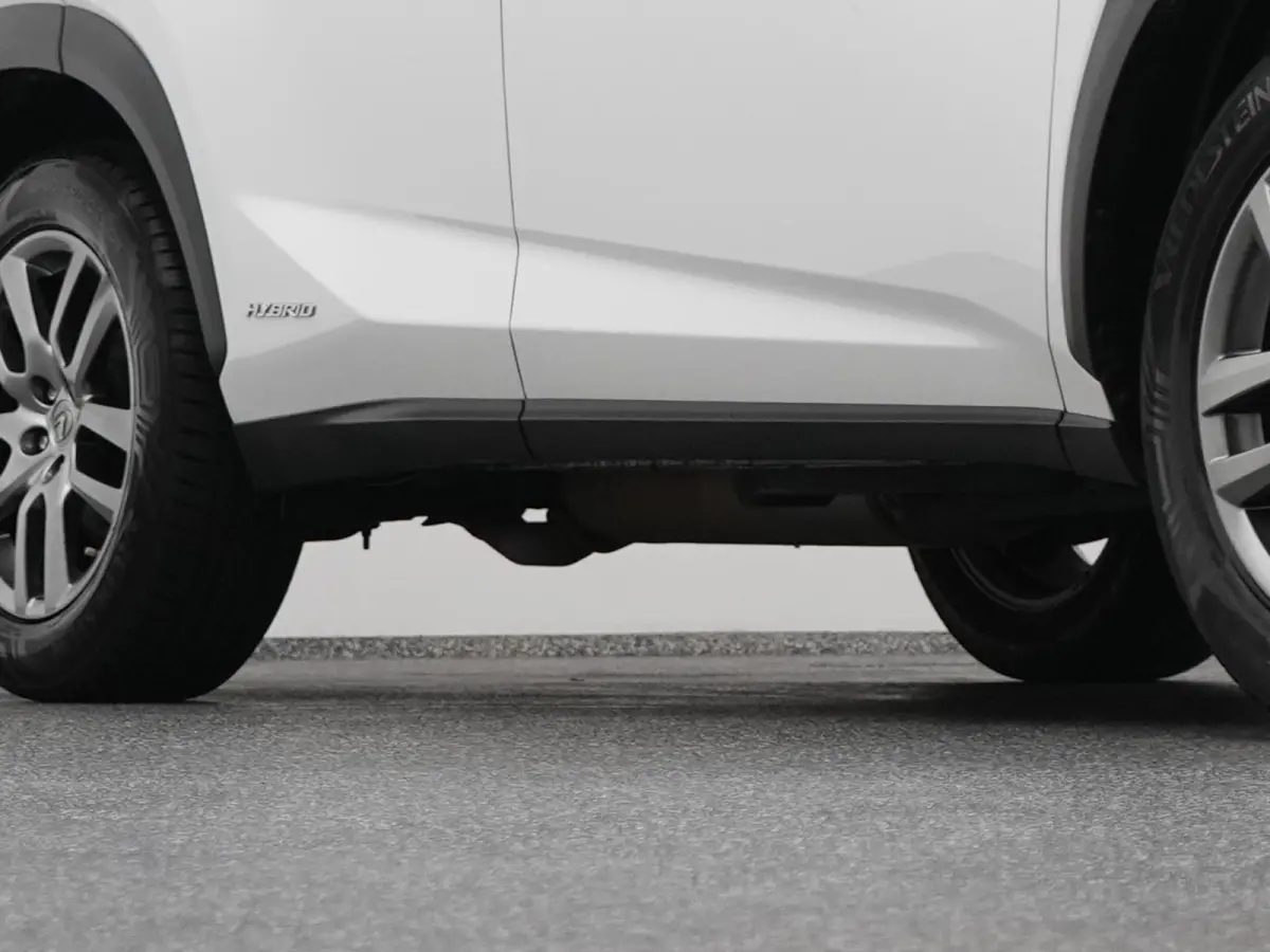 300h AWD Business Line | CAMERA | TREKHAAK
