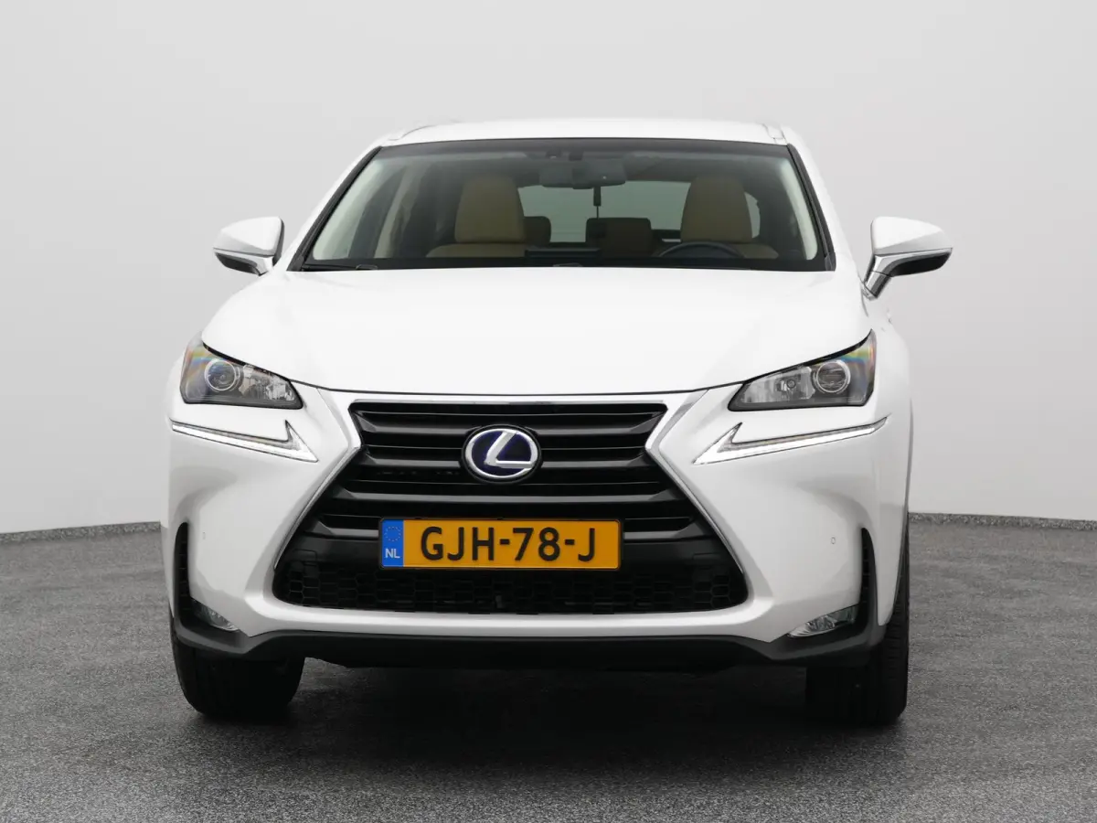 300h AWD Business Line | CAMERA | TREKHAAK