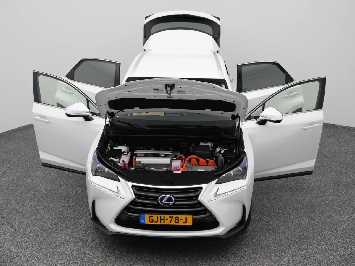 300h AWD Business Line | CAMERA | TREKHAAK