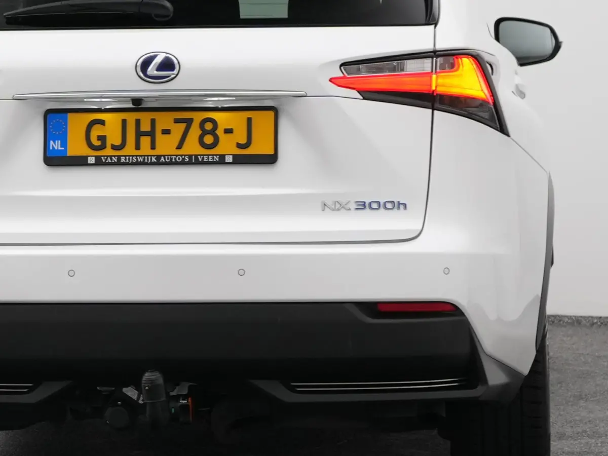 300h AWD Business Line | CAMERA | TREKHAAK