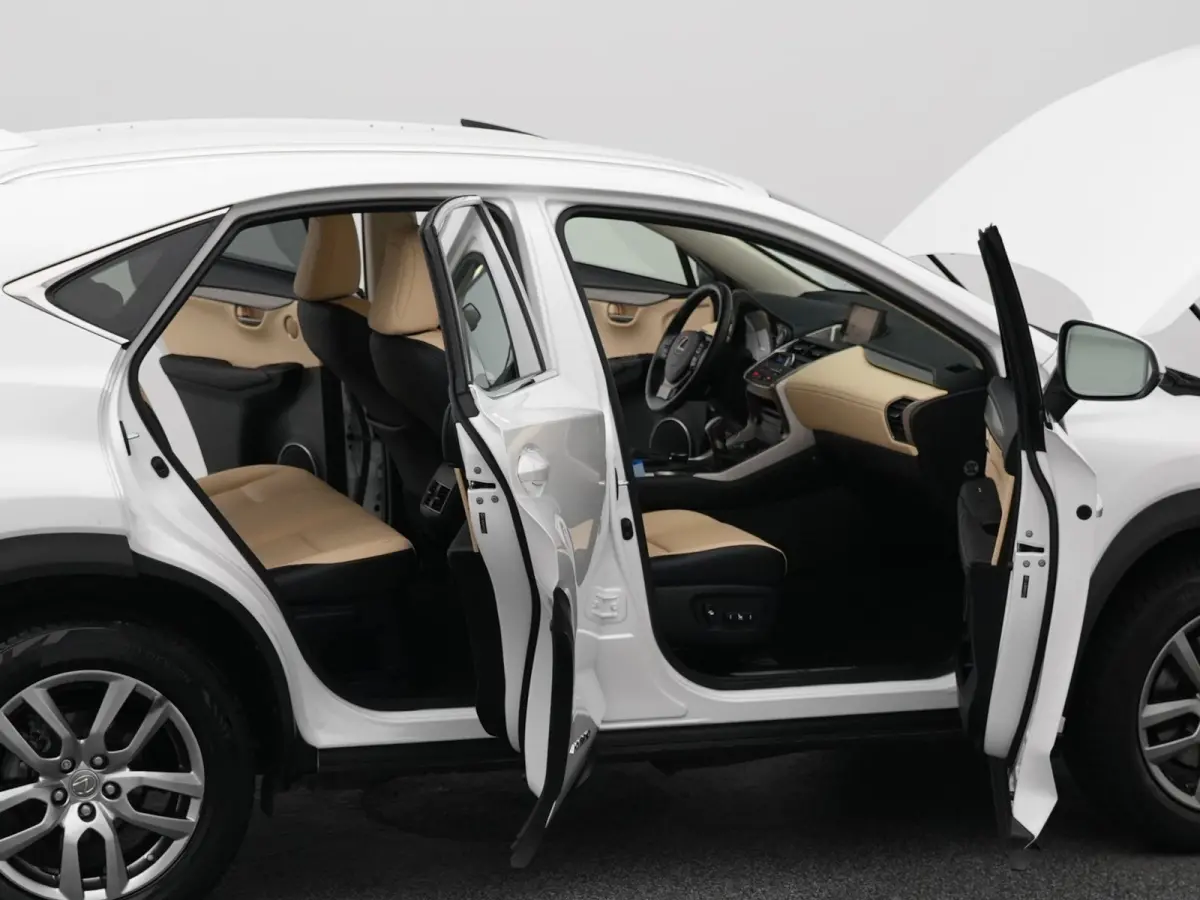 300h AWD Business Line | CAMERA | TREKHAAK