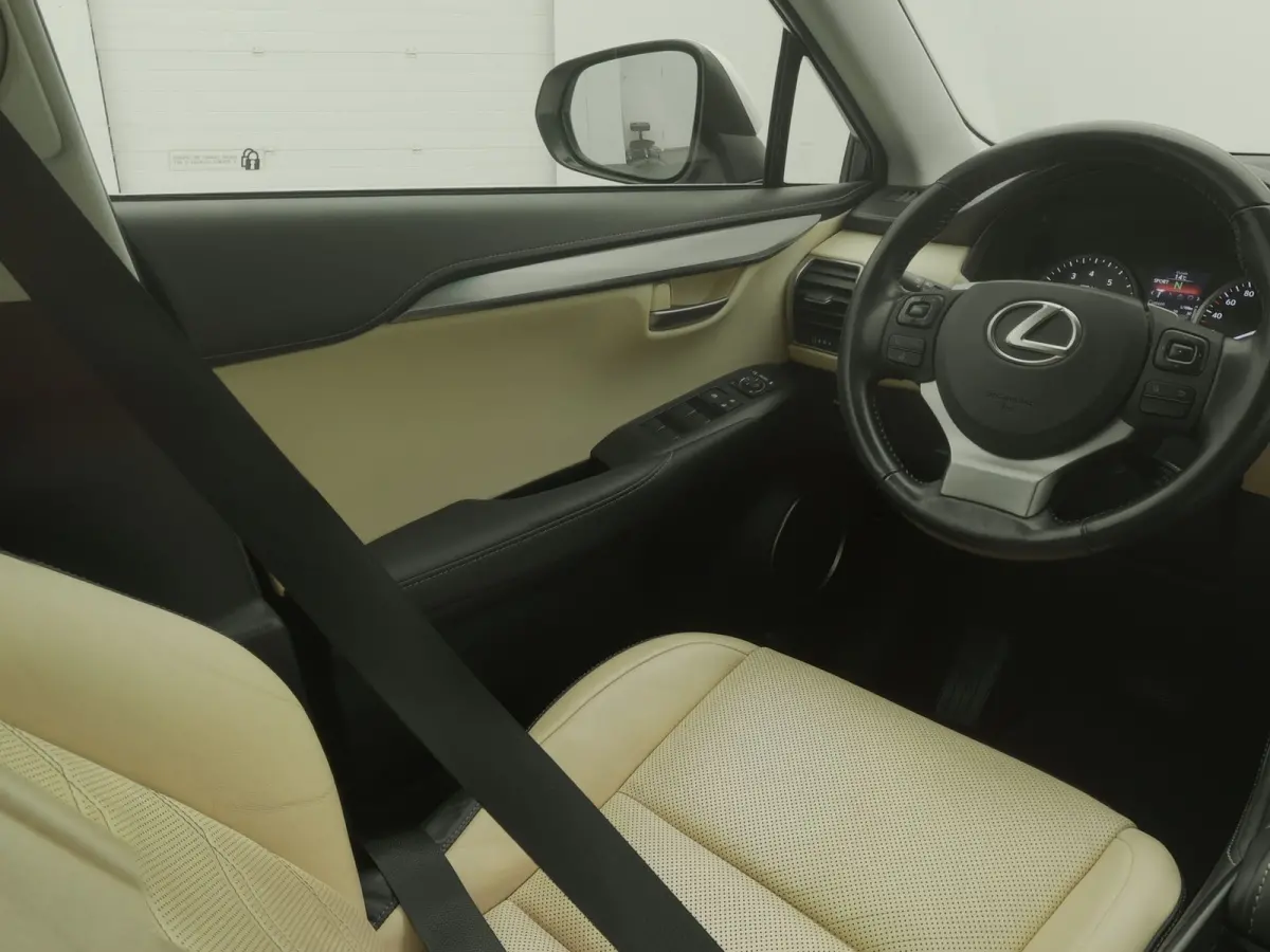 300h AWD Business Line | CAMERA | TREKHAAK
