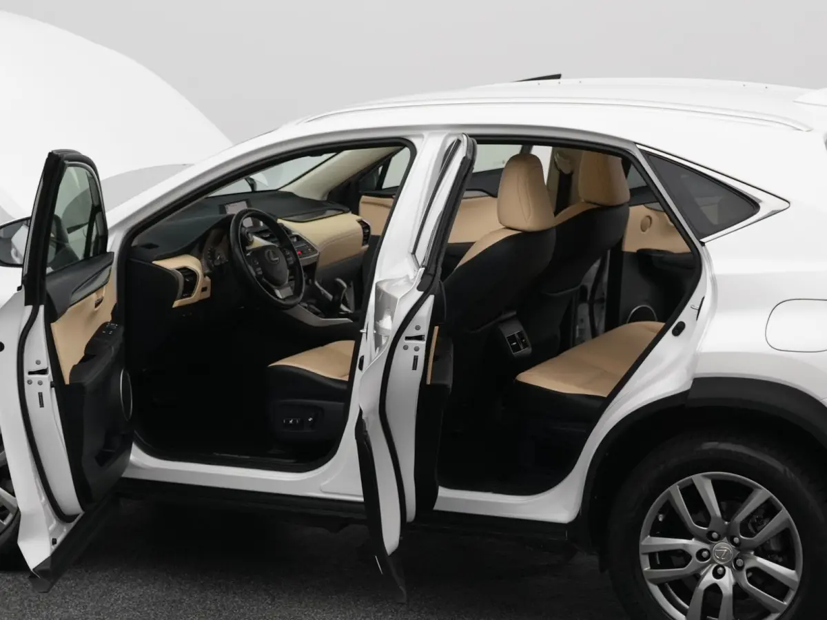 300h AWD Business Line | CAMERA | TREKHAAK