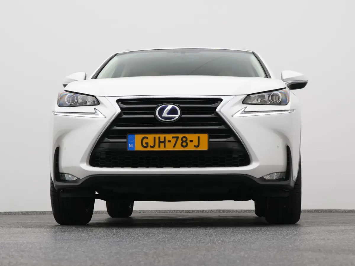 300h AWD Business Line | CAMERA | TREKHAAK