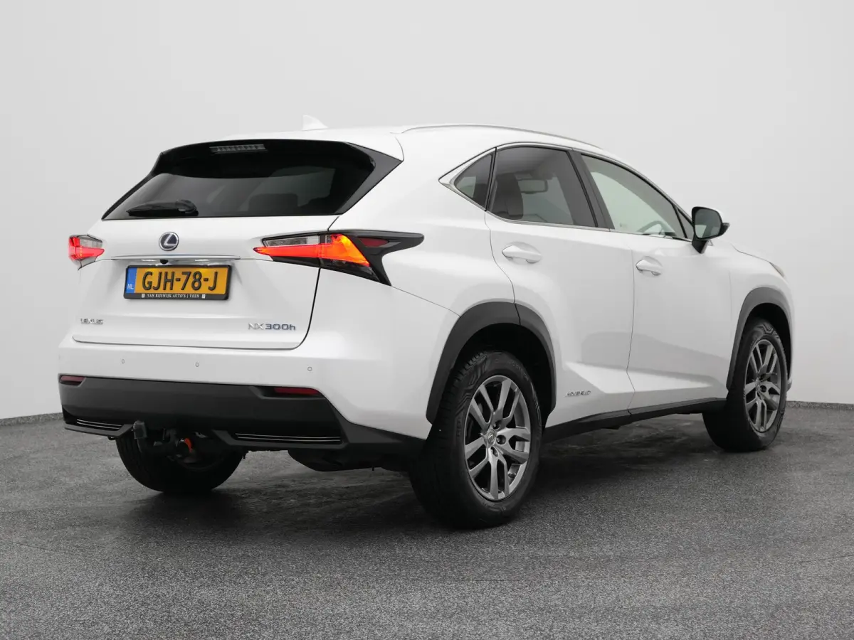 300h AWD Business Line | CAMERA | TREKHAAK