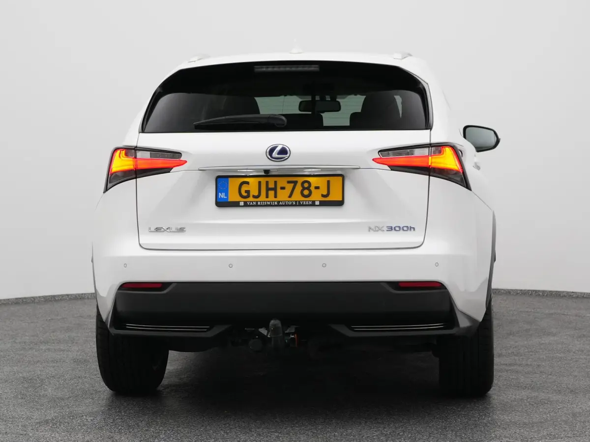 300h AWD Business Line | CAMERA | TREKHAAK