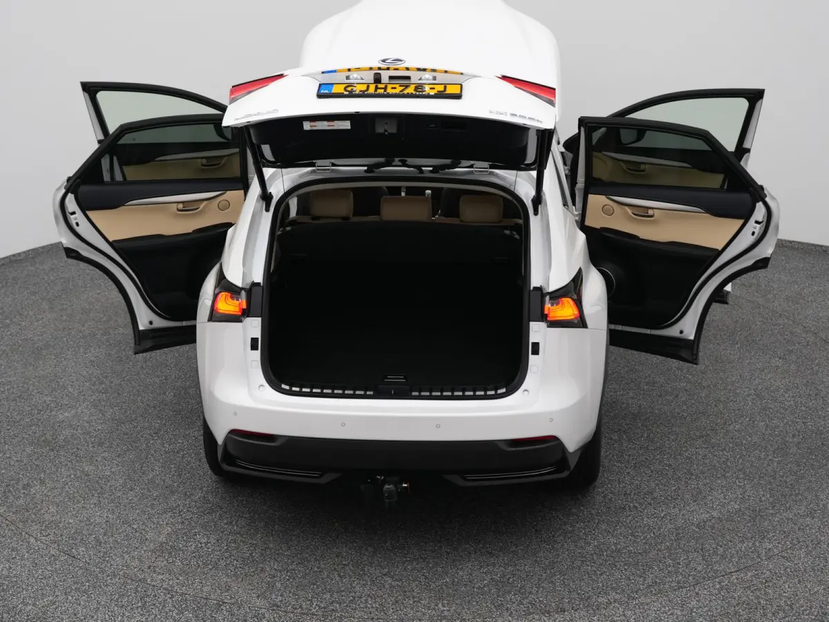 300h AWD Business Line | CAMERA | TREKHAAK