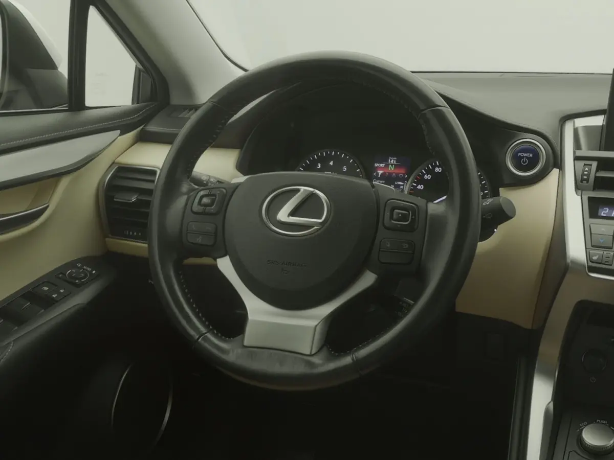 300h AWD Business Line | CAMERA | TREKHAAK