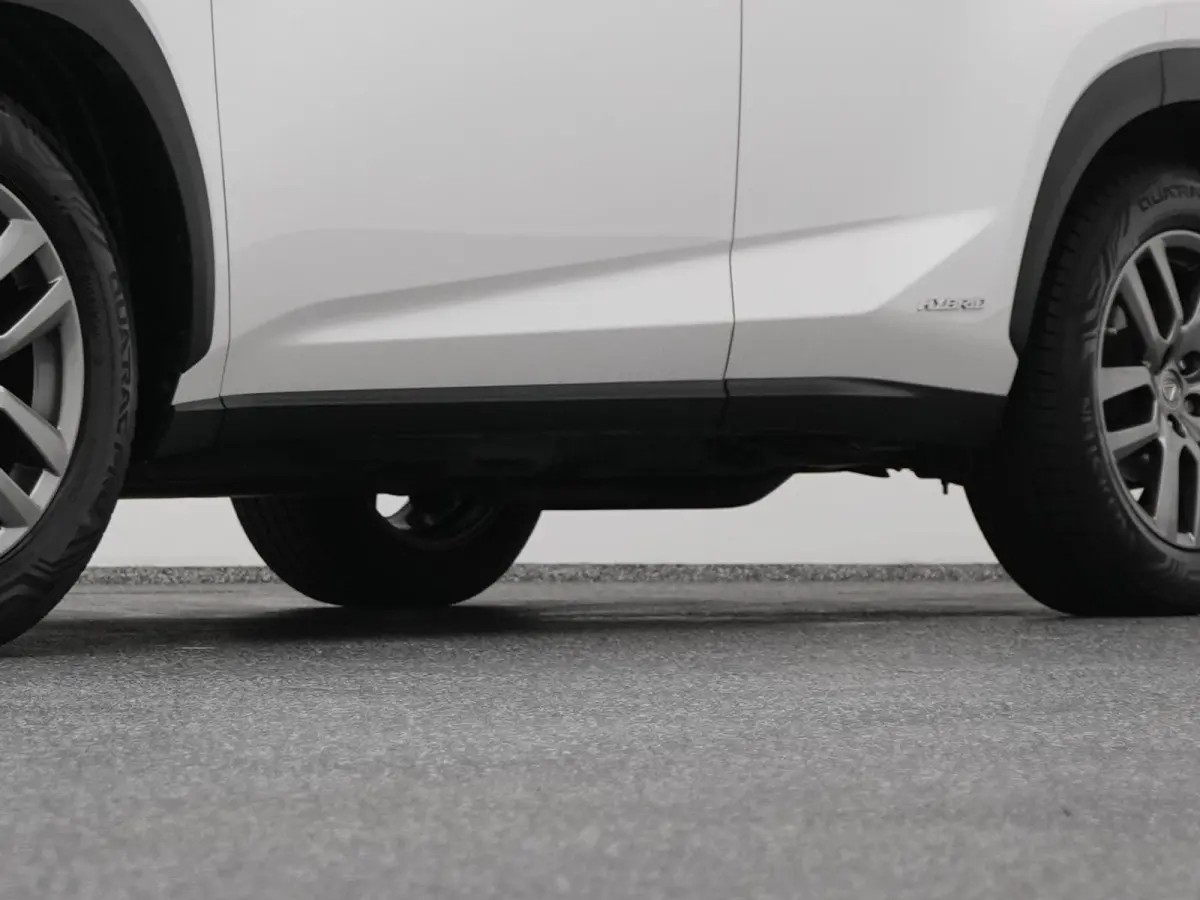 300h AWD Business Line | CAMERA | TREKHAAK