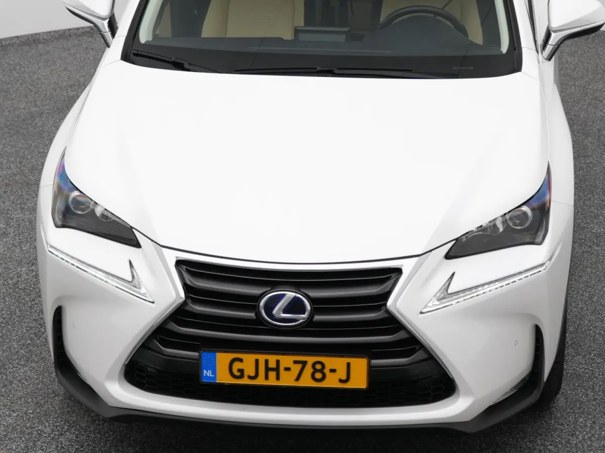 300h AWD Business Line | CAMERA | TREKHAAK
