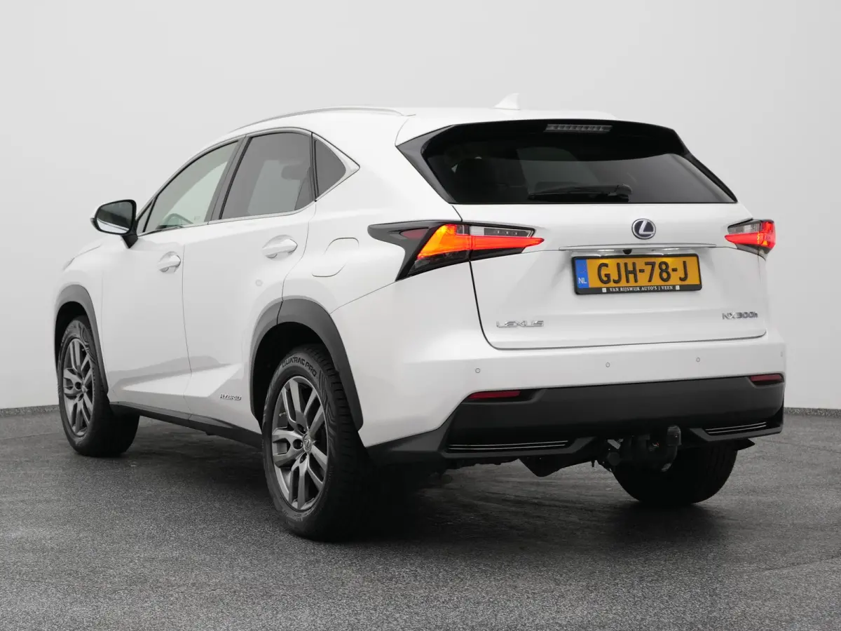 300h AWD Business Line | CAMERA | TREKHAAK