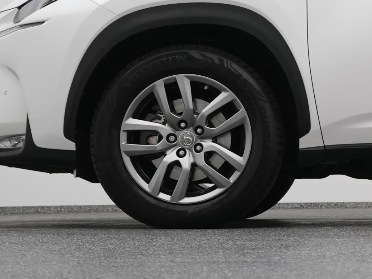 300h AWD Business Line | CAMERA | TREKHAAK