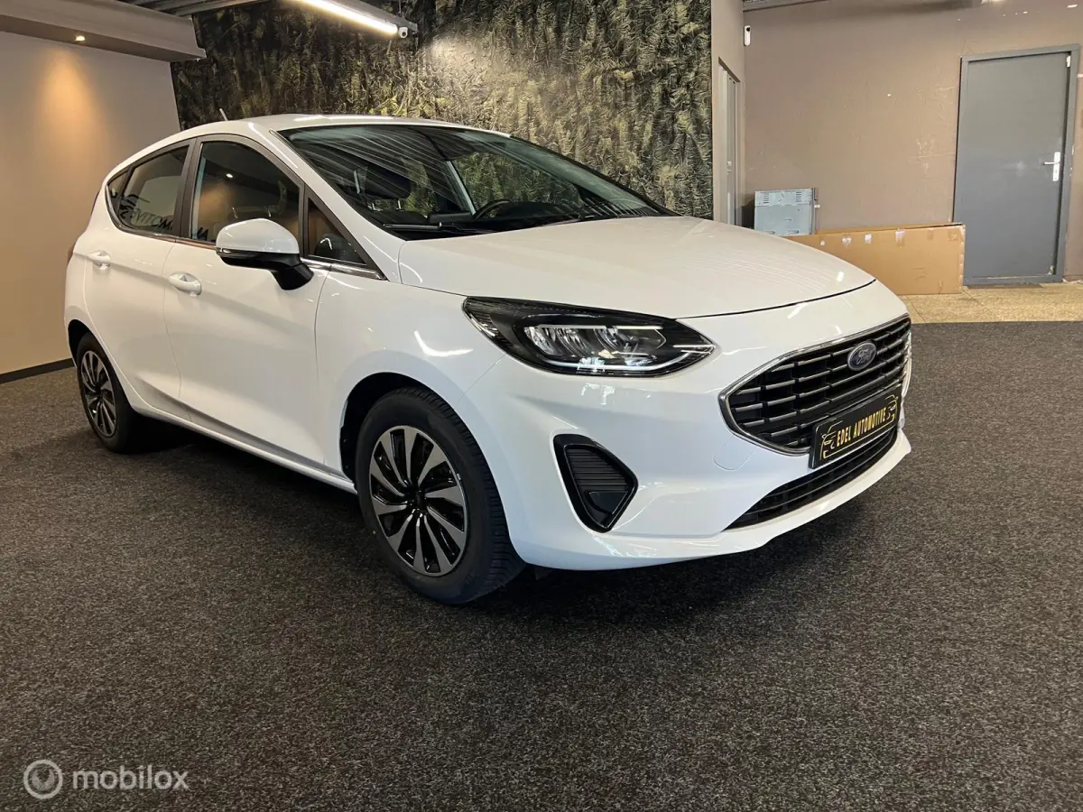 1.0 EcoBoost Hybrid Titanium-NAVI-CRUISE-AIRCO-CARPLAY-BLUETOOTH