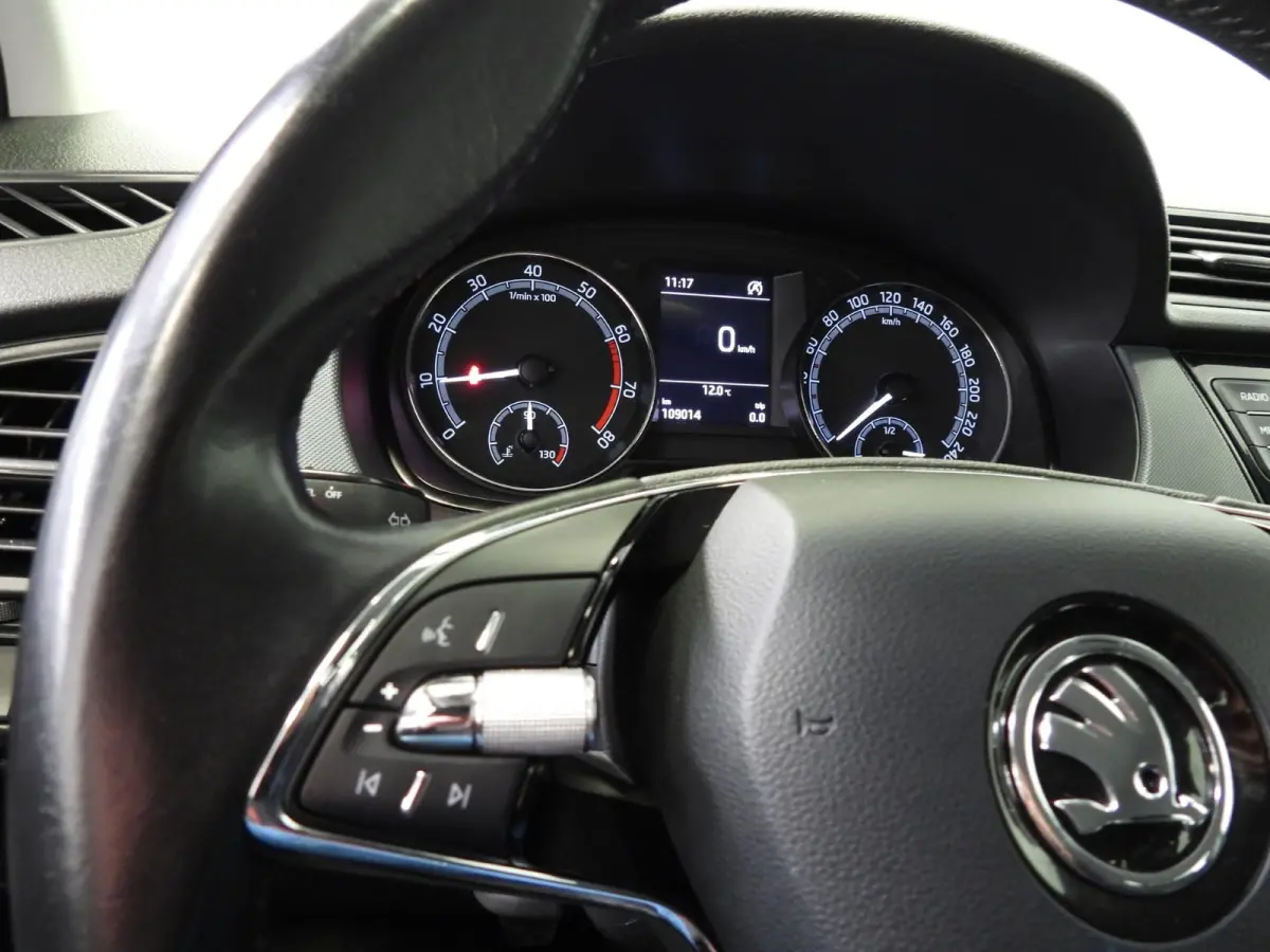 1.0 TSI Active Launch NAVI-APP/AIRCO/CRUISE/TREKHAAK!