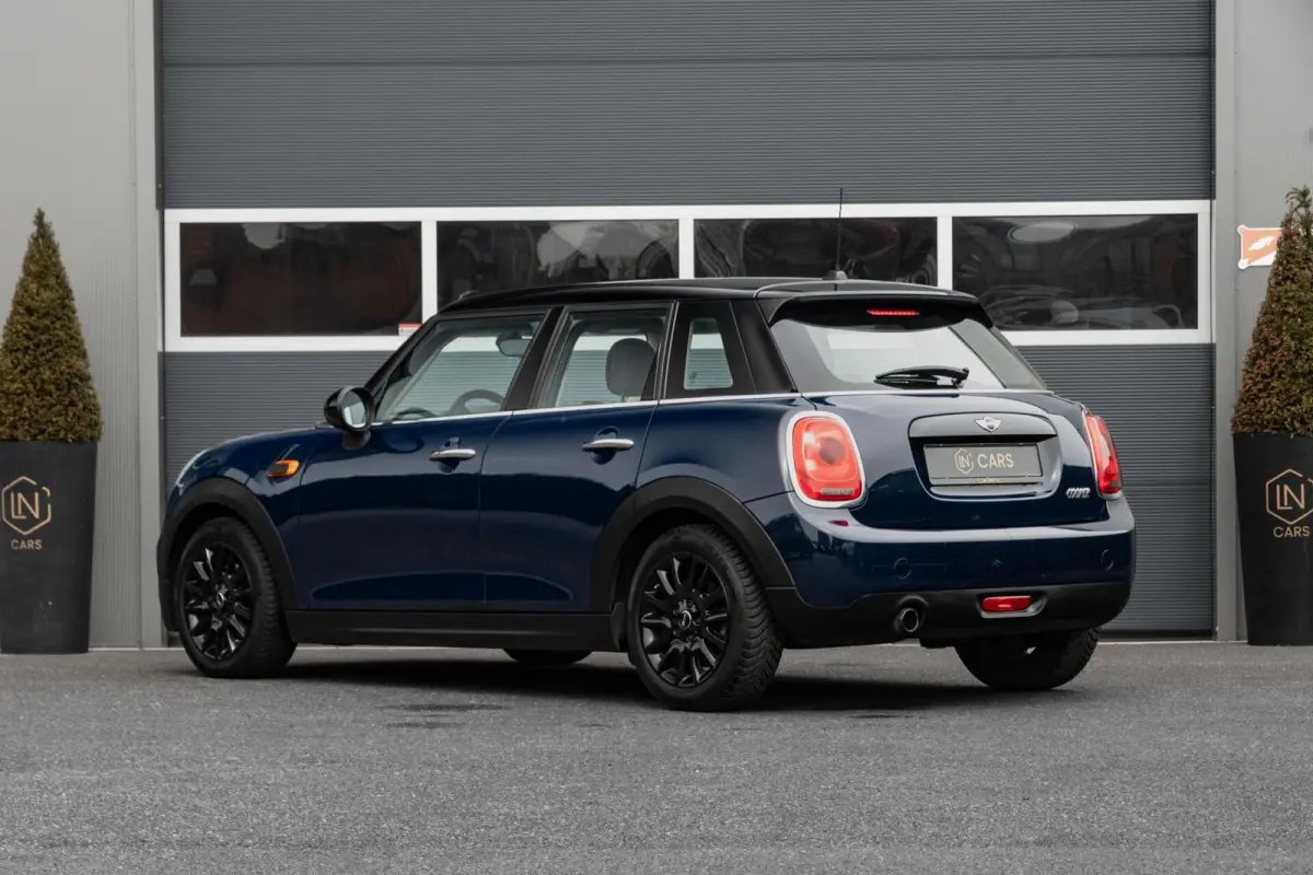 Mini 1.5