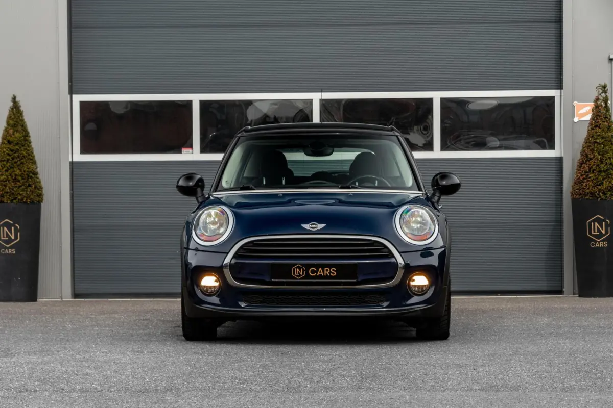 Mini 1.5