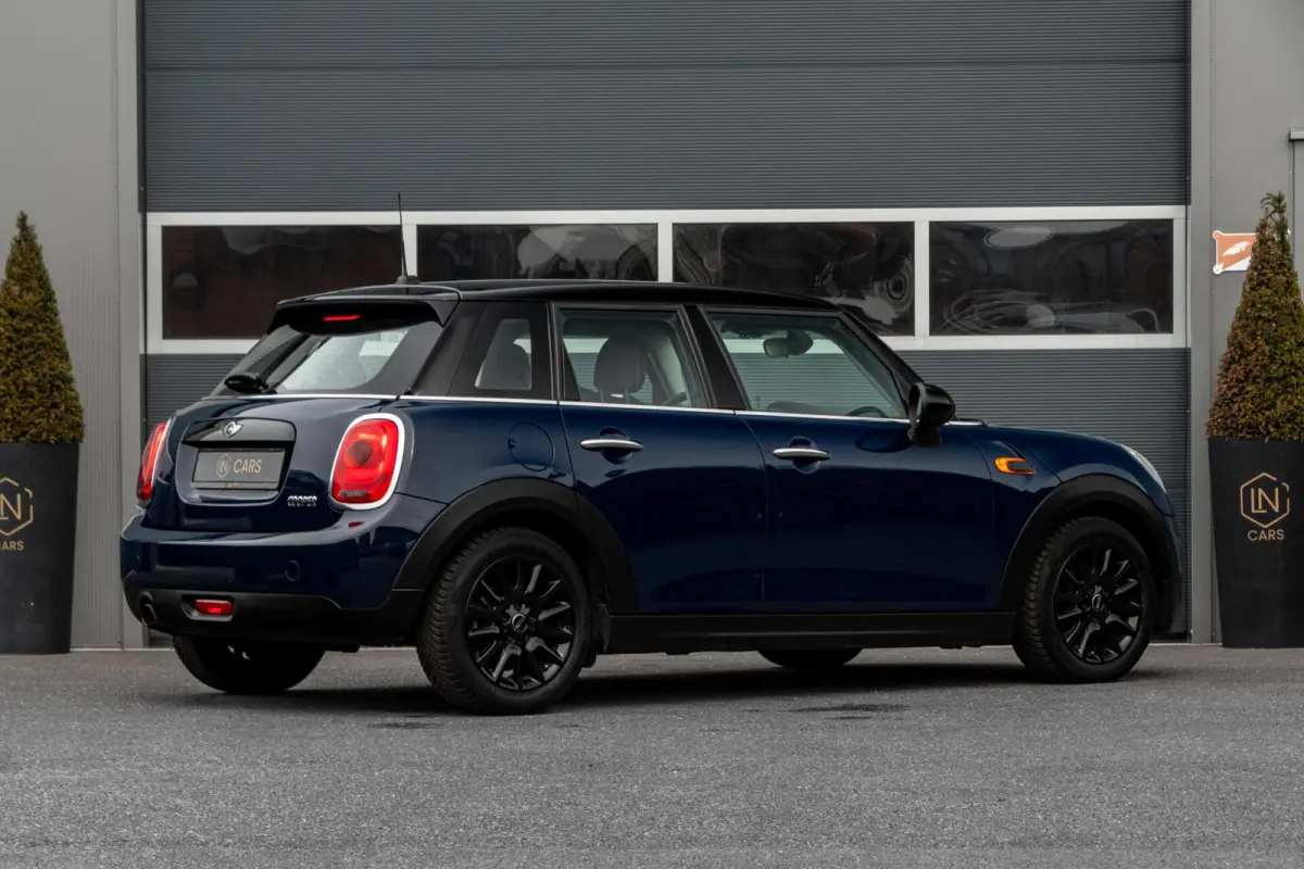 Mini 1.5