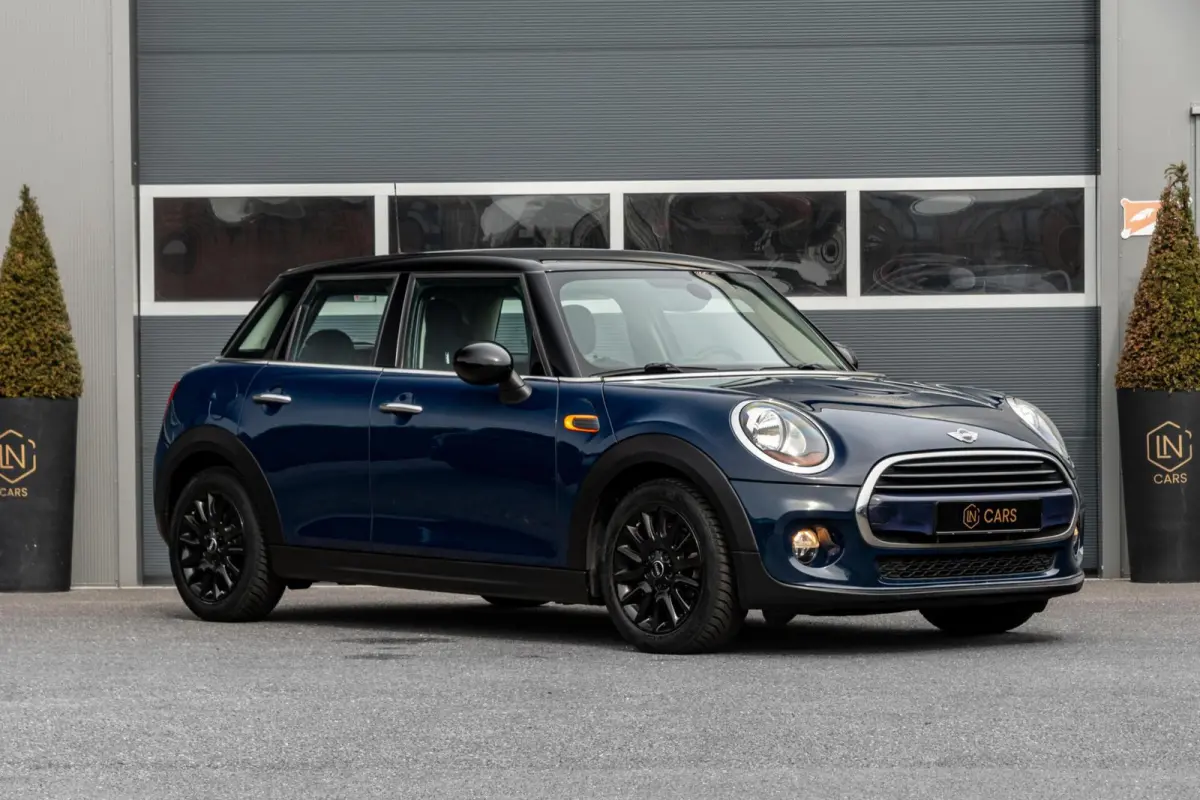 Mini 1.5
