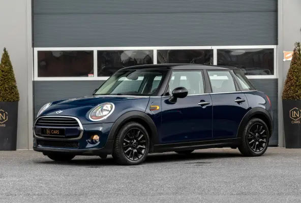 Mini 1.5