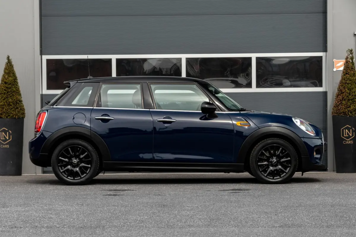 Mini 1.5