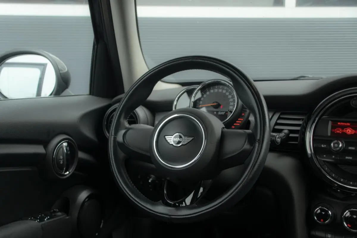 Mini 1.5