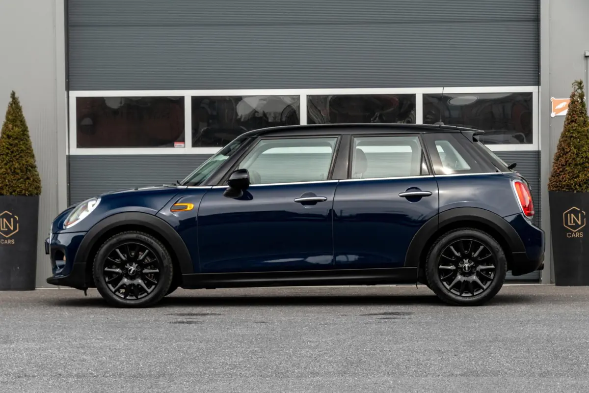 Mini 1.5