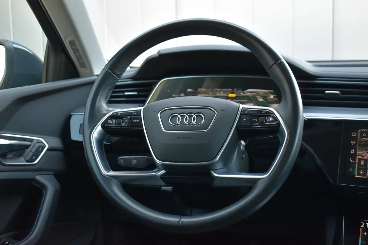 50 quattro Edition 95 kWh