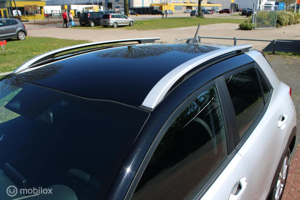 1.0 T-GDi MHEV DynamicLine, Zwart dak, App connect/navi, Cruise, Airco, Pdc + camera, Telefoon