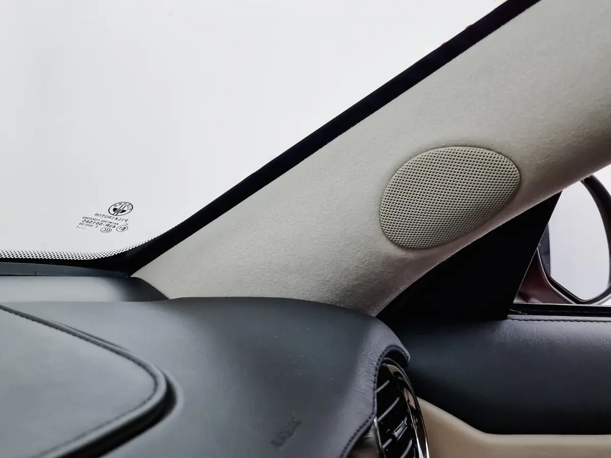 2.0 EcoSport 445pk Nieuw accupakket, NAP, Full option