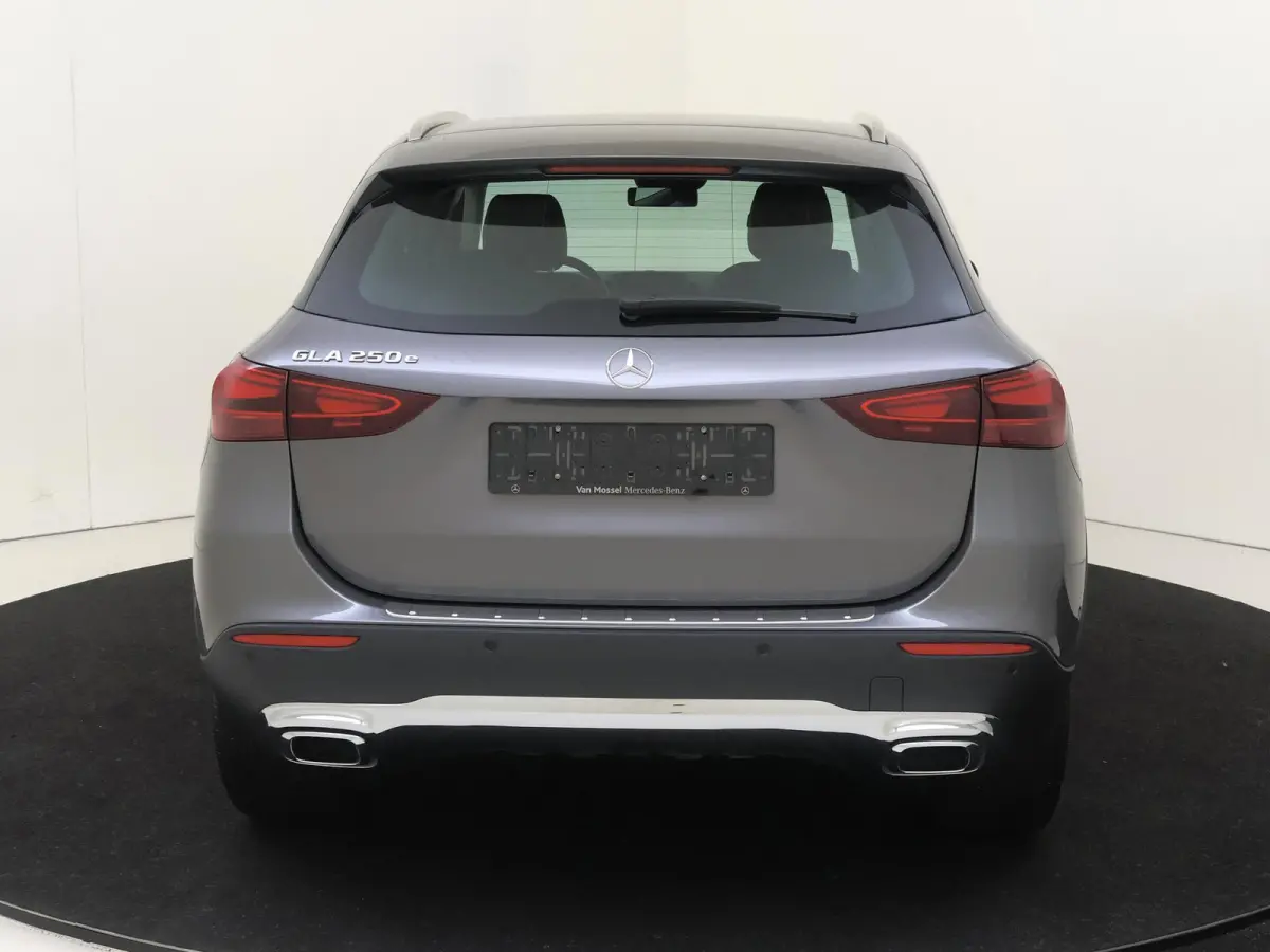250 e Luxury-Line / Winter Pakket / Sfeerverlichting / 360Graden-Camera /