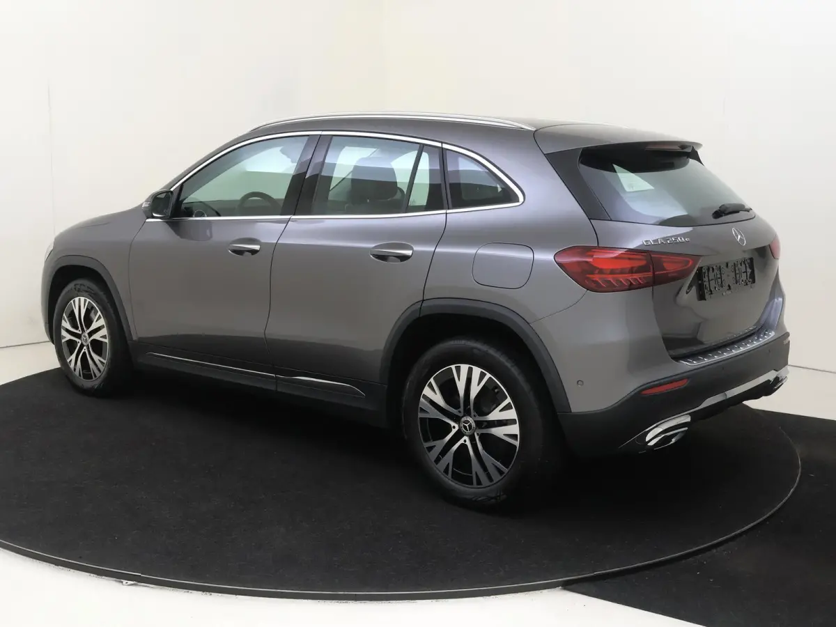 250 e Luxury-Line / Winter Pakket / Sfeerverlichting / 360Graden-Camera /