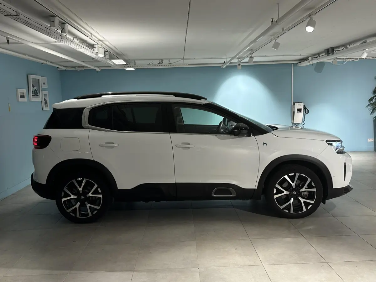 1.6 Plug-in Hybrid 225 Shine