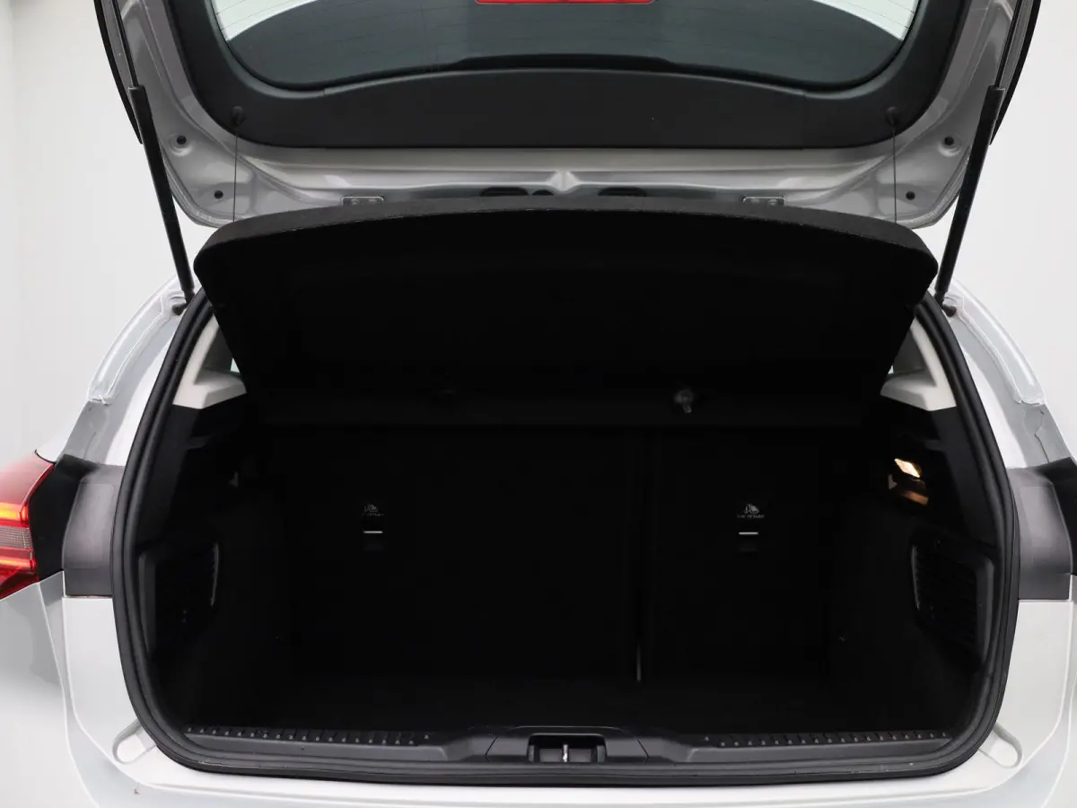 1.0 EcoBoost Hybrid Titanium Style | Navigatie | Climate Control | Parkeersensoren | Cruise Control |