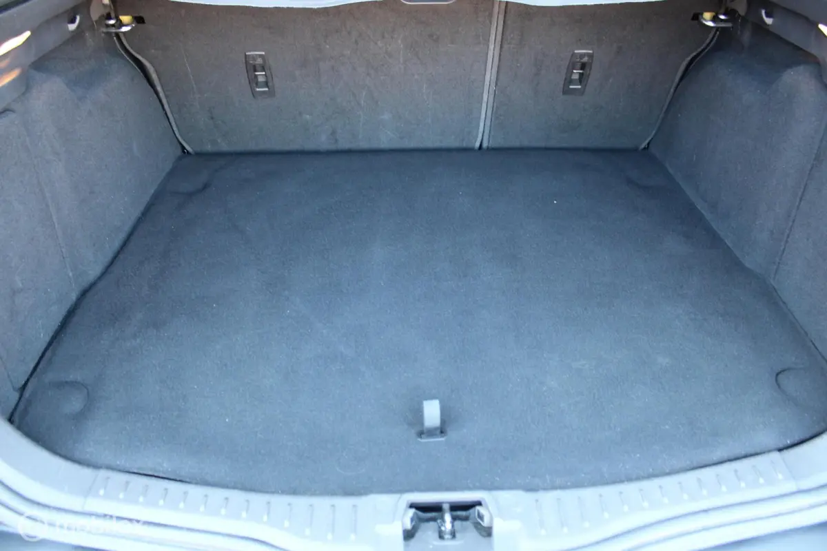 1.0 Turbo Lease Edition, Navi, App connect, Pdc, Cruise, Clima, Telefoon