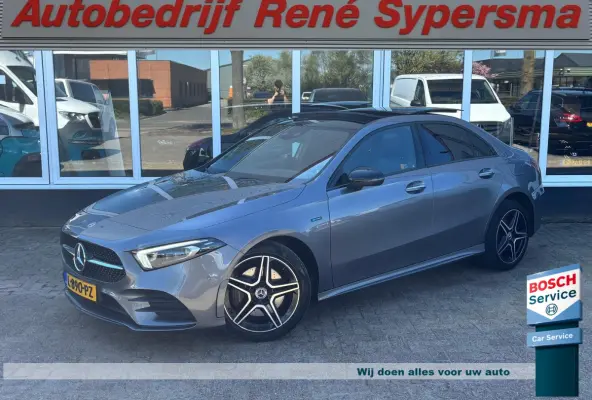 250 e Business Solution AMG Limited | Pano | Sfeerverlichting | Memory Stoelen | Traffic Camera