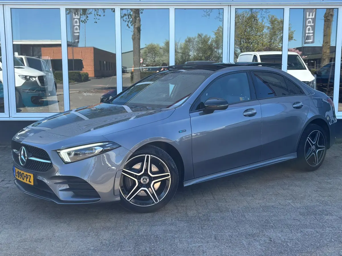 250 e Business Solution AMG Limited | Pano | Sfeerverlichting | Memory Stoelen | Traffic Camera