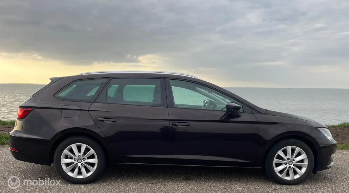 1.0 EcoTSI Style Business Intense