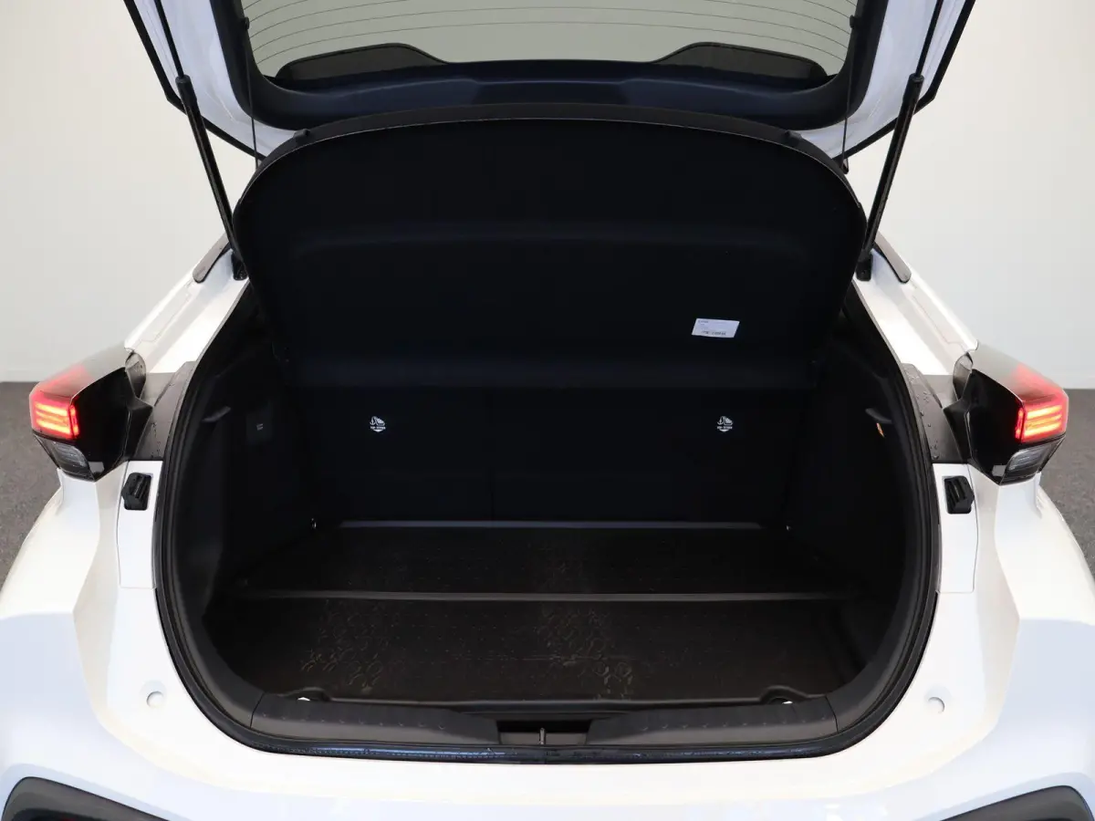 2.0 Plug-in Hybrid 220 First Edition | Stoel- en stuurwielverwarming | Voorruitverwarming | Keyless Entry | All Season Banden |