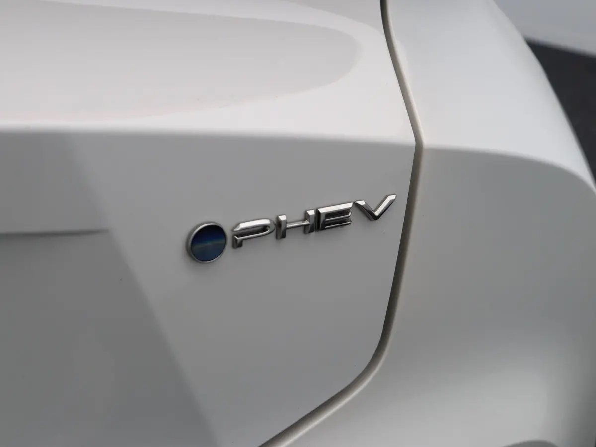 2.0 Plug-in Hybrid 220 First Edition | Stoel- en stuurwielverwarming | Voorruitverwarming | Keyless Entry | All Season Banden |